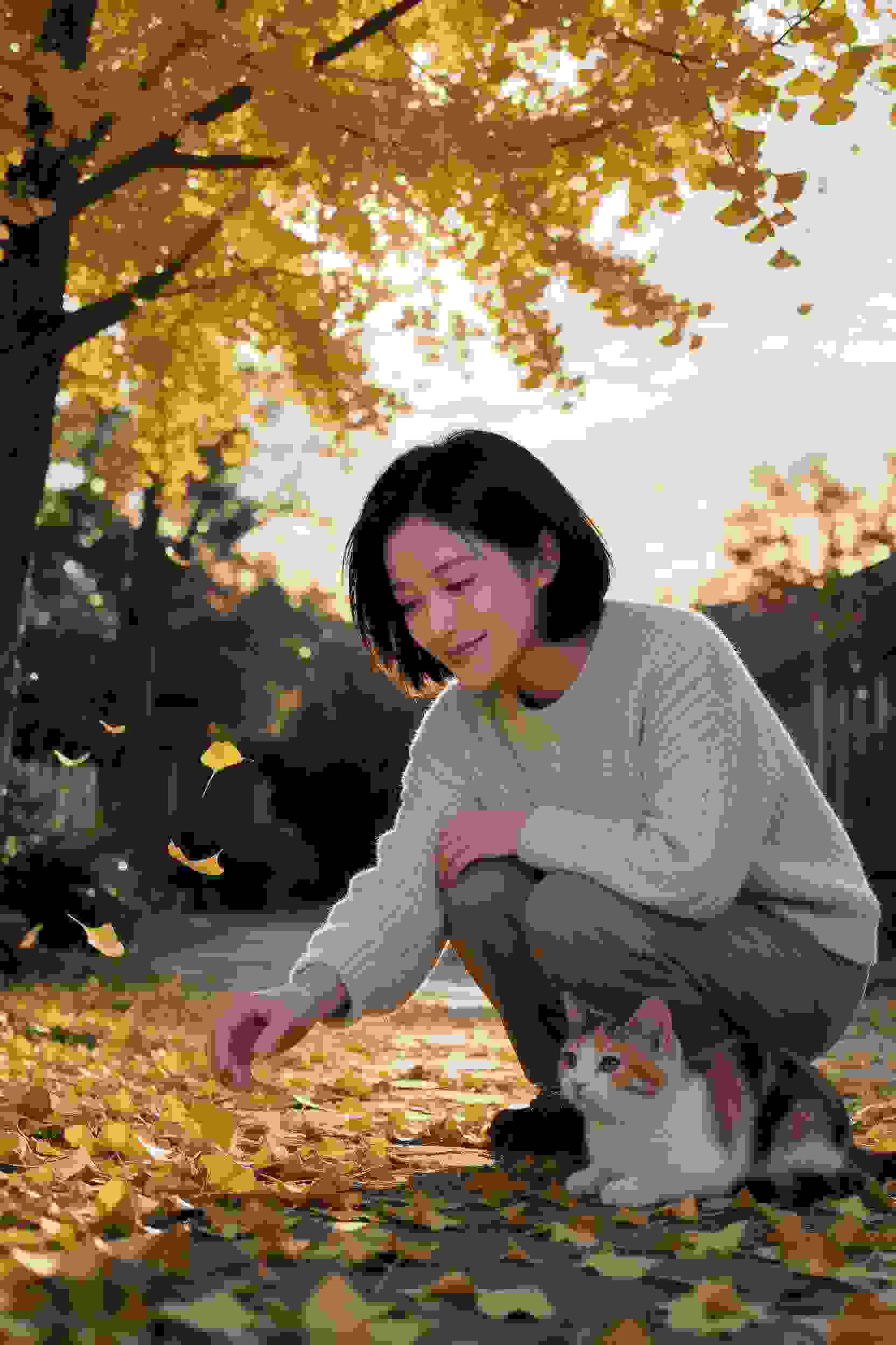 命运交界
